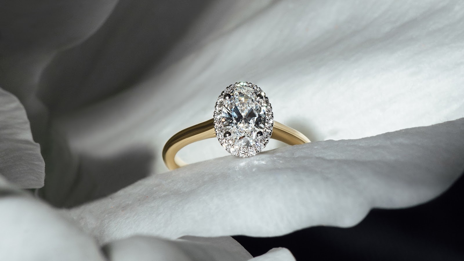 Enchante zlatni prsten s dijamantima