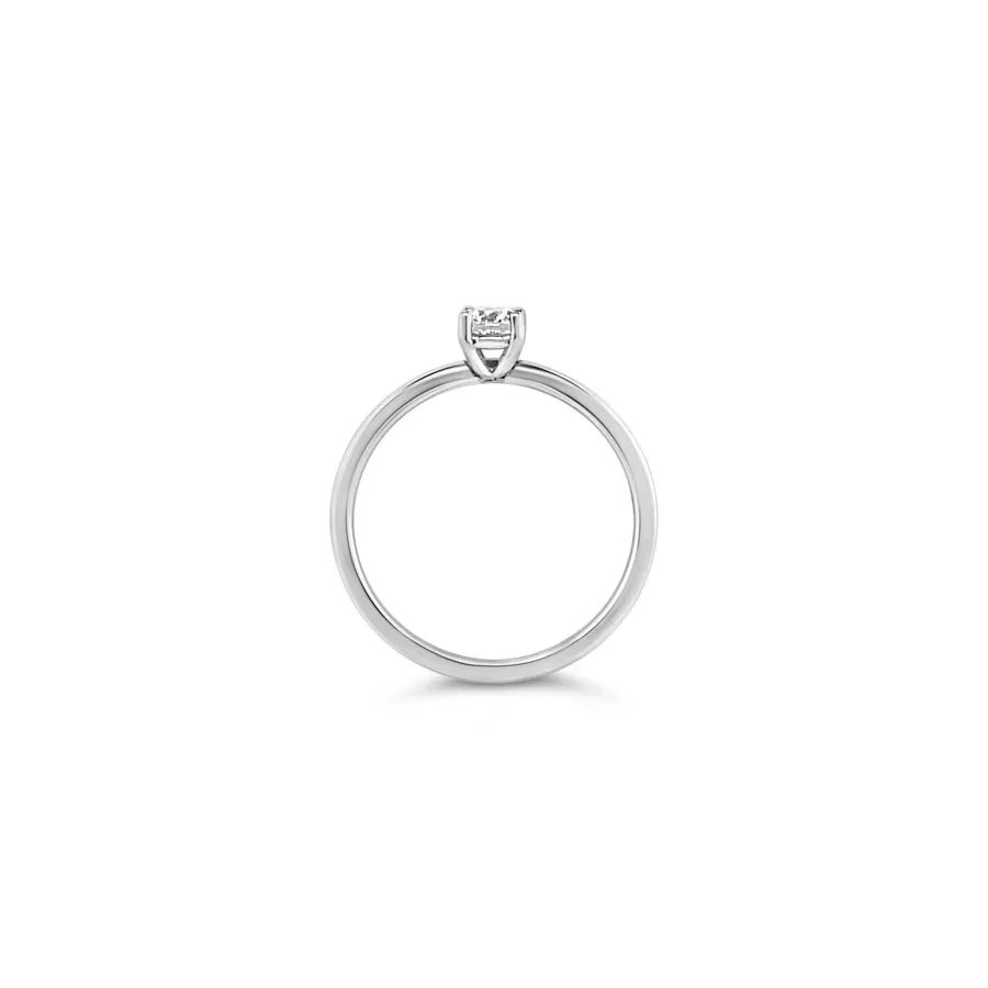 6160010001787__2021-11-20-23-13-00