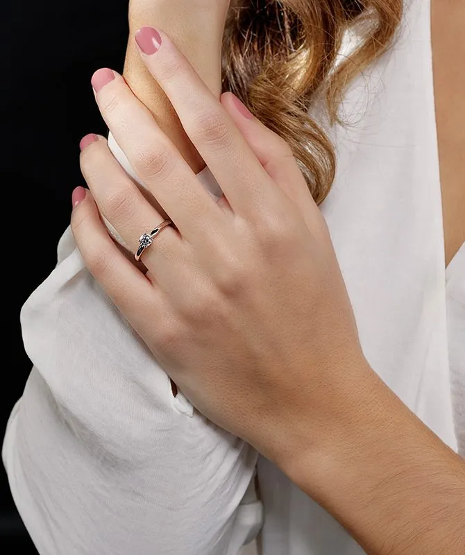 dodic-4_6160010001209-1