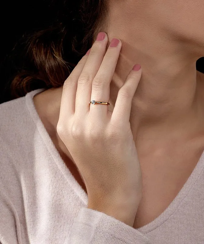 dodic-16_5160010000037-1