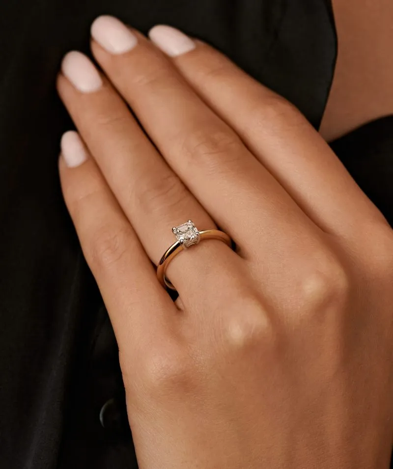 9160010000130_model_24809