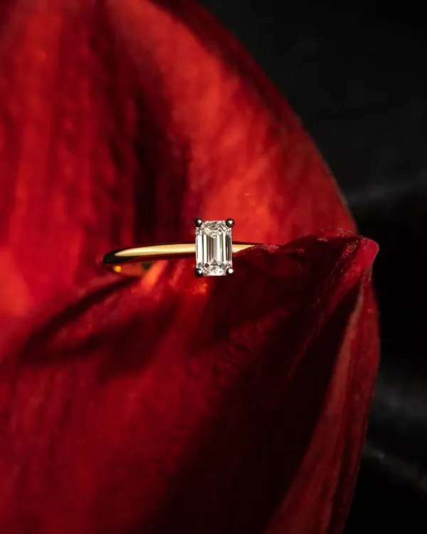 1-dodic_25-01-25_jel4290-1-1