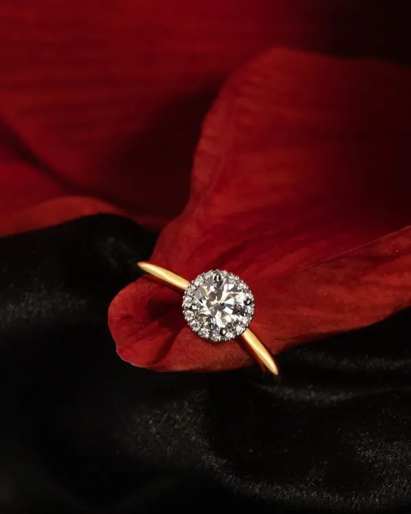 1-dodic_25-01-25_jel4382-1