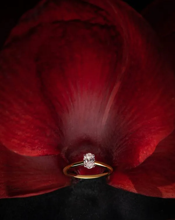 1-dodic_25-01-25_jel4504-1-1